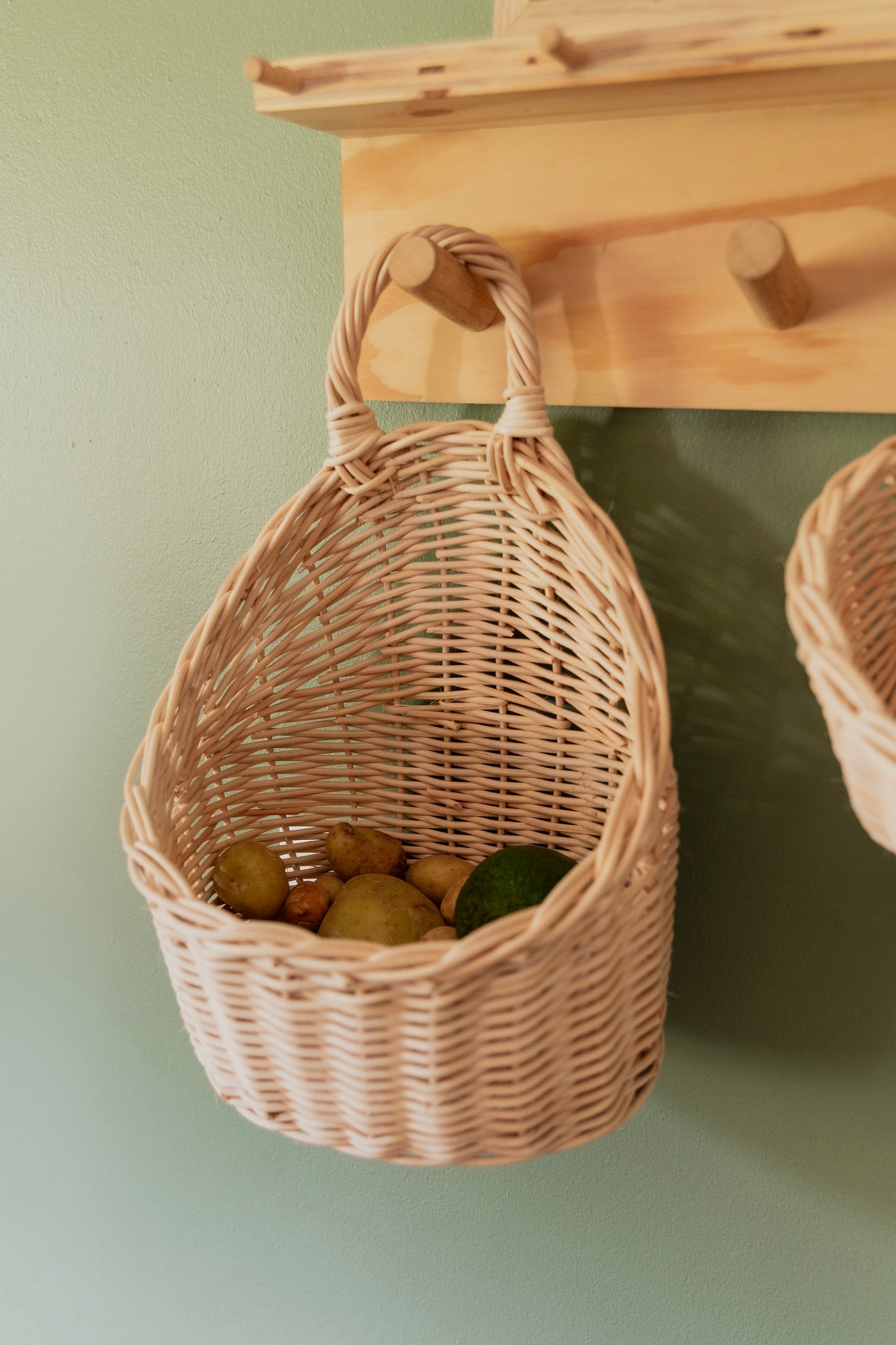 Baskiti Hanging Basket - Nova