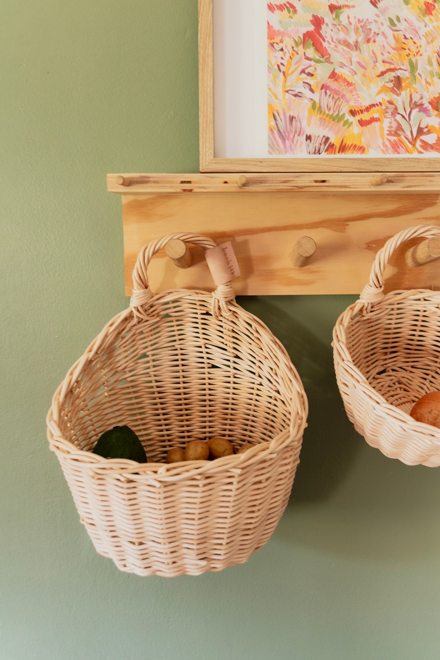 Baskiti Hanging Basket - Nova